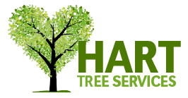 Hart Tree Services - Byron, Lismore, Ballina and Tweed Shire