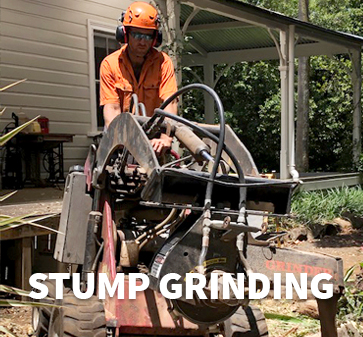 Stump Grinding