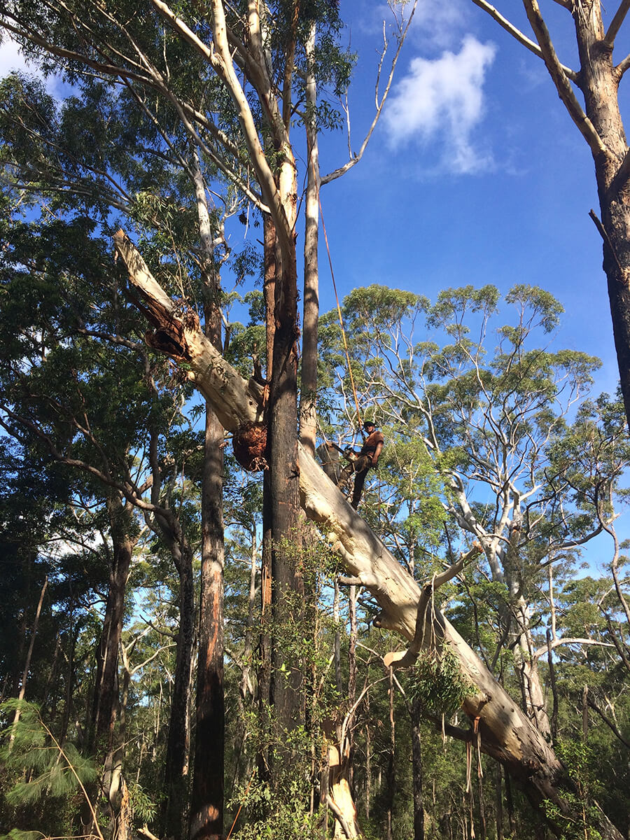 Storm Damage