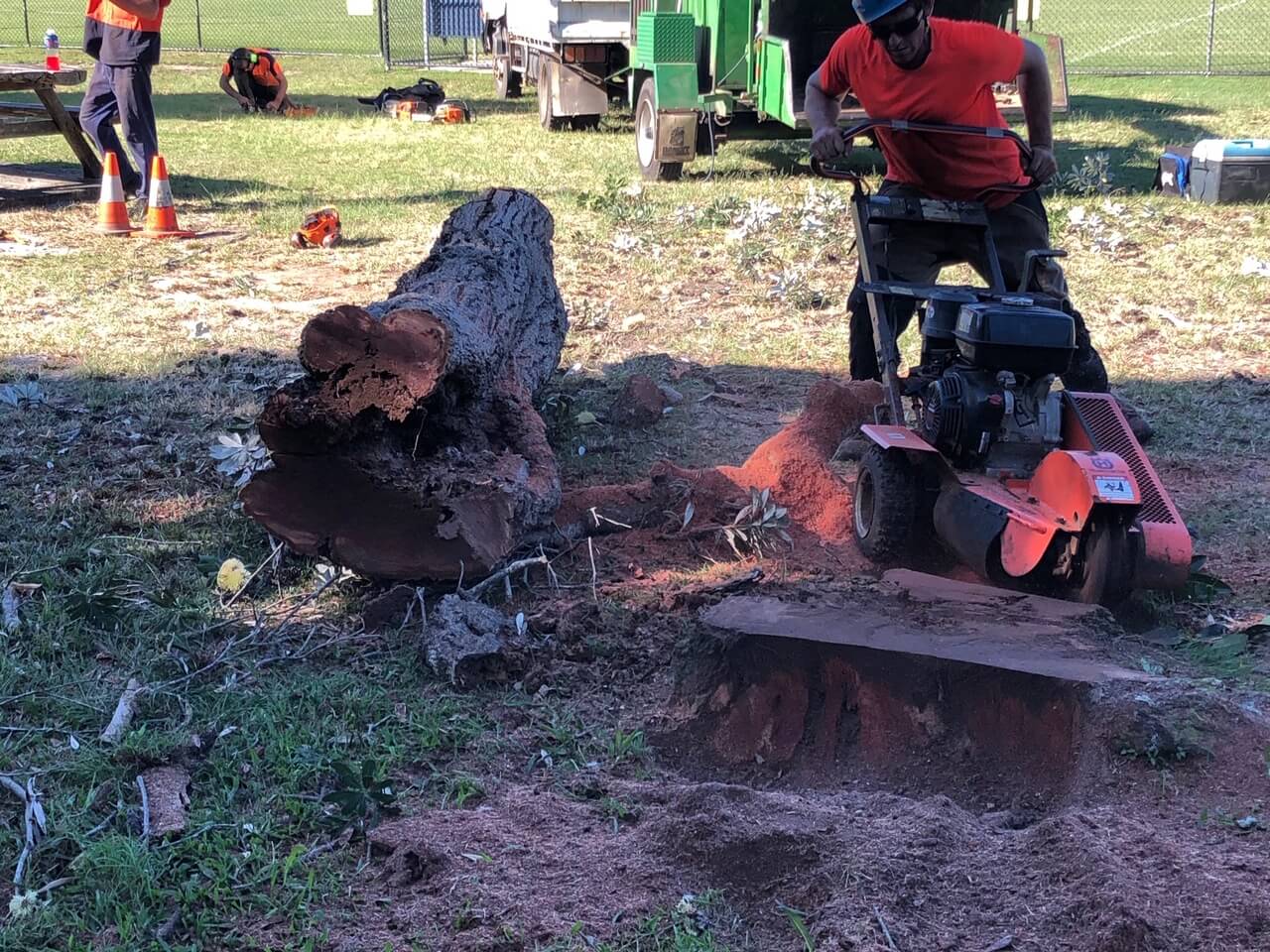 Stump Grinding