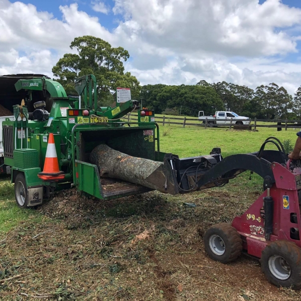 mini-skid-steer-loader